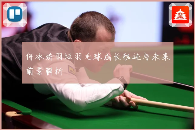 何冰娇羽坛羽毛球成长轨迹与未来前景解析