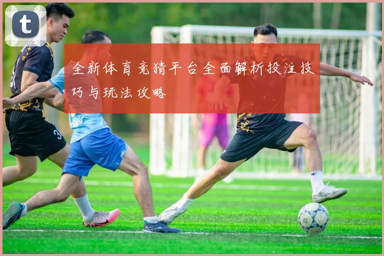 全新体育竞猜平台全面解析投注技巧与玩法攻略