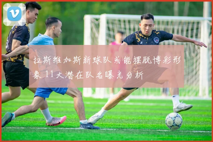 拉斯维加斯新球队或能摆脱博彩形象 11大潜在队名曝光分析