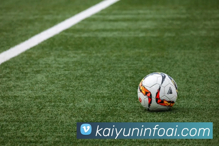 开云平台展示图